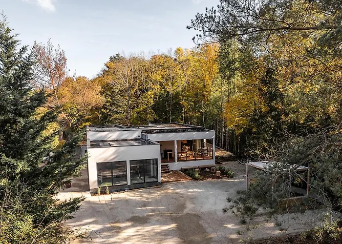 Vila L'eden 5 Jacuzzi Pour 10 Pers A L'etang Du Stock Langatte